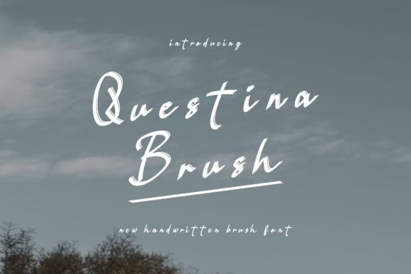The Distinctive Appeal of Questina Brush Font in Modern Design