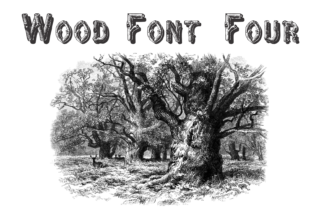 Wood Font Four: A Natural Choice for Display Typography